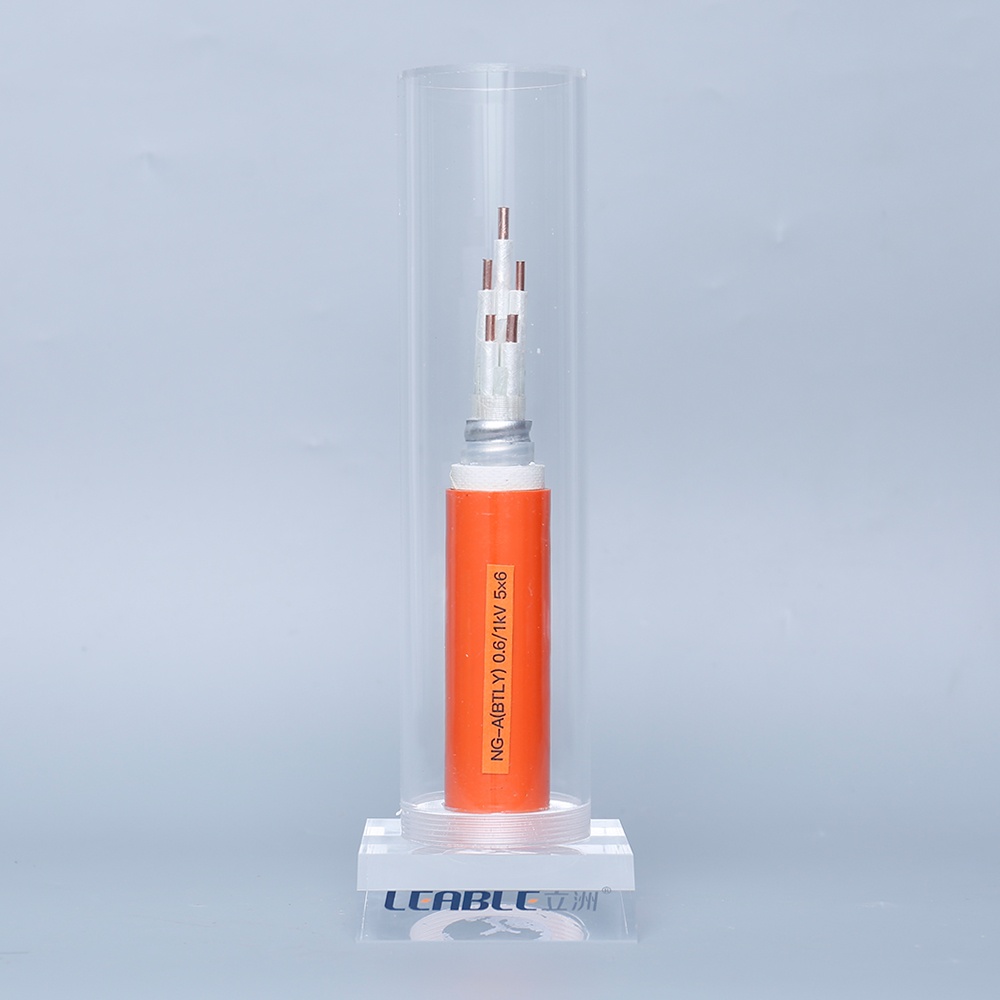 NG-A(BTLY) 0.6/1kV 5X6